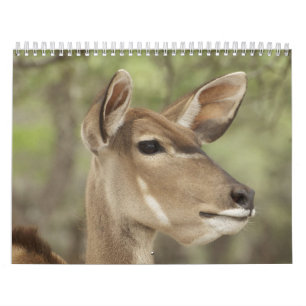 Calendrier de portrait de nature et d'animaux pour