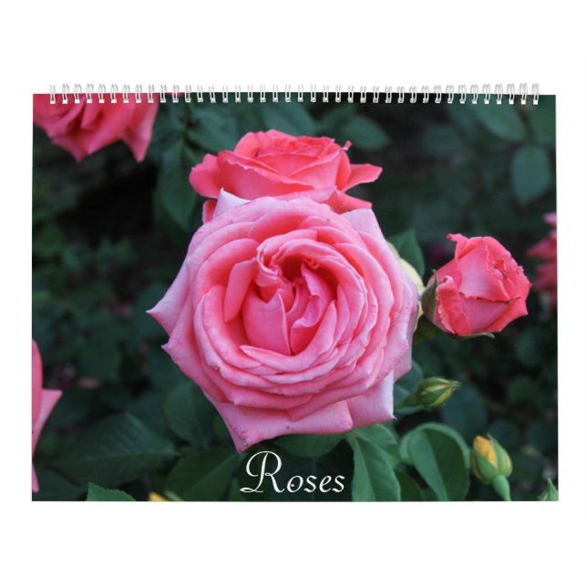 Calendrier de portrait rose (Protection)