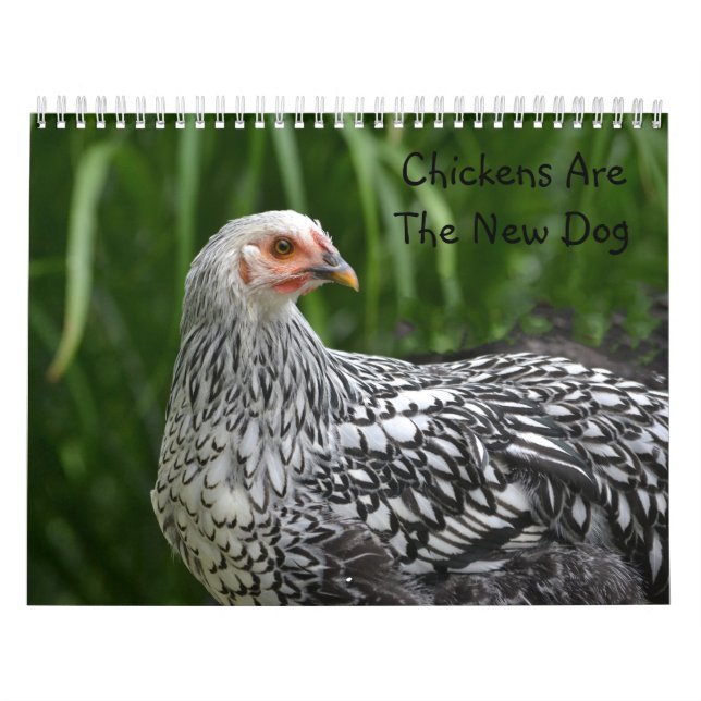 Calendrier de poulet (Protection)