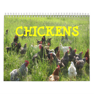 Calendrier de poulets