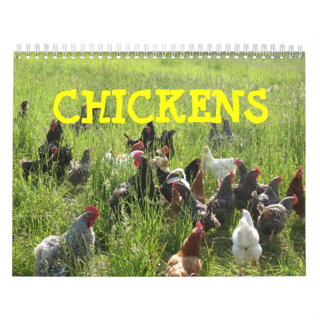 Calendrier de poulets (Protection)
