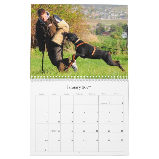 Calendrier de protection de dobermann (Jan 2027)
