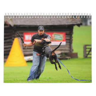 Calendrier de protection de dobermann