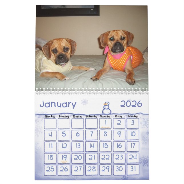 Calendrier de Puggle (Jan 2026)