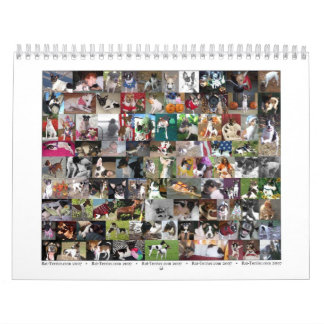Calendrier de Rat terrier