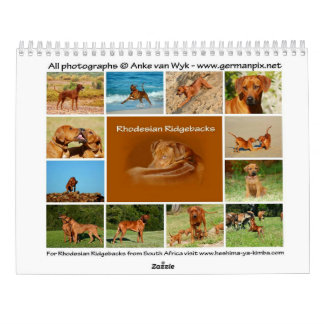 Calendrier de Rhodesian Ridgeback