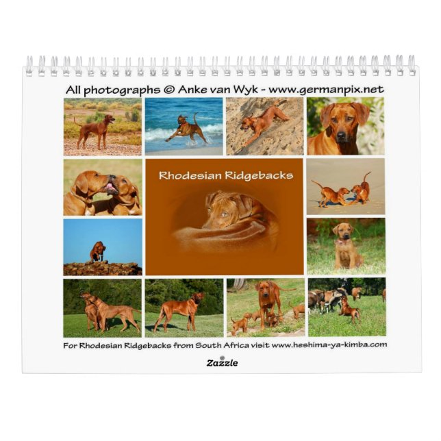 Calendrier de Rhodesian Ridgeback (Dos)