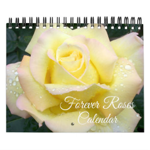 Calendrier de roses Forever de petite taille