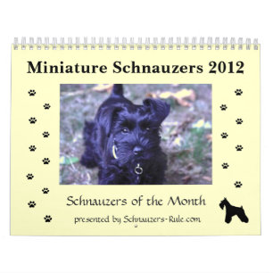 Calendrier de Schnauzer miniature