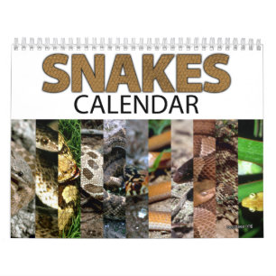 Calendrier de serpent
