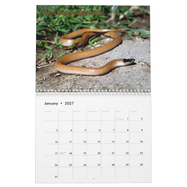 Calendrier de serpent (Jan 2027)