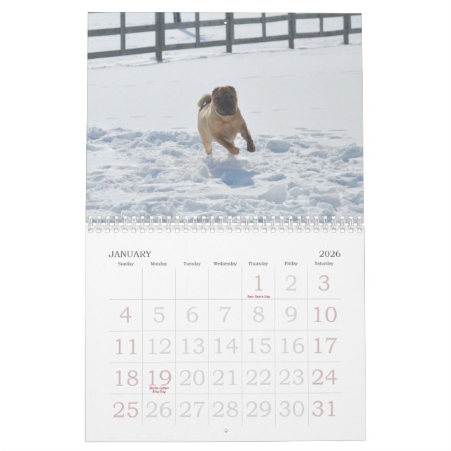 Calendrier de Shar-pei de Chinois (Jan 2026)