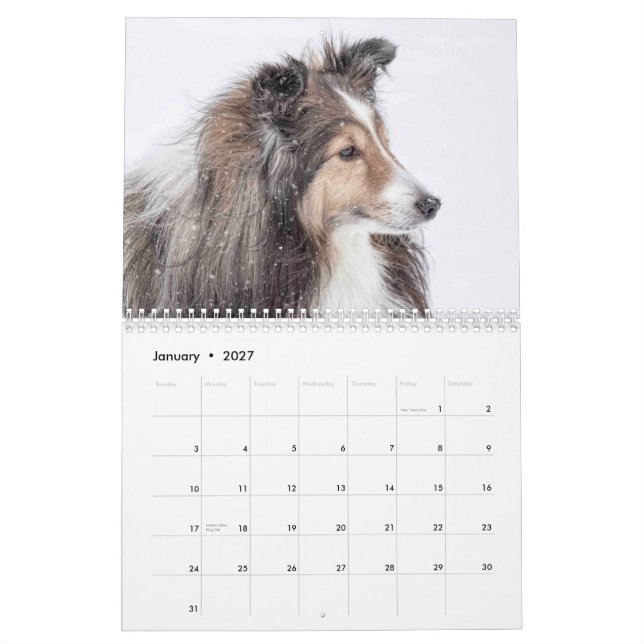 Calendrier de Sheltie (Jan 2027)
