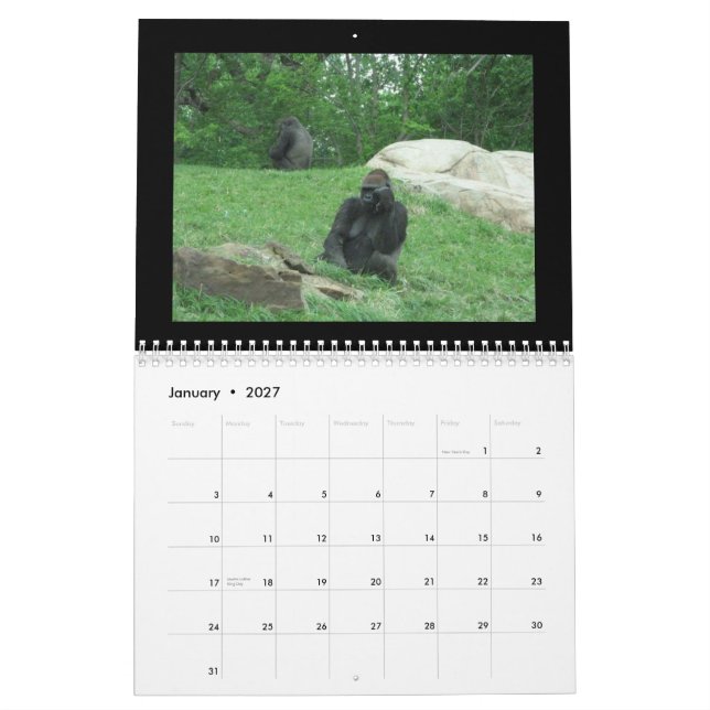 calendrier de singes (Jan 2027)