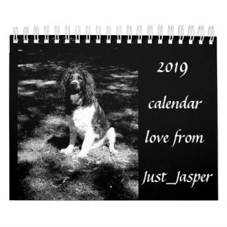 Calendrier de springer spaniel