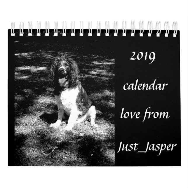 Calendrier de springer spaniel (Protection)