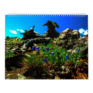 Calendrier de Sweetgrass 2014