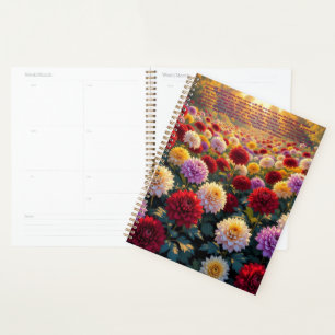 Calendrier de symbolique des chrysanthèmes