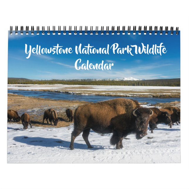 Calendrier de taille moyenne Yellowstone - Calendr (Protection)