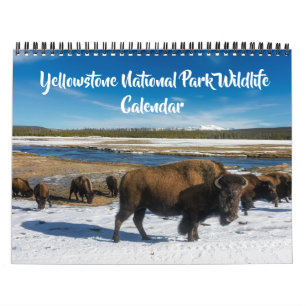 Calendrier de taille moyenne Yellowstone - Calendr