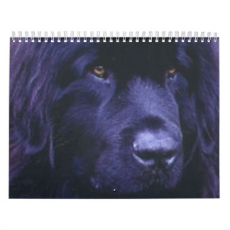 Calendrier de Terre-Neuve