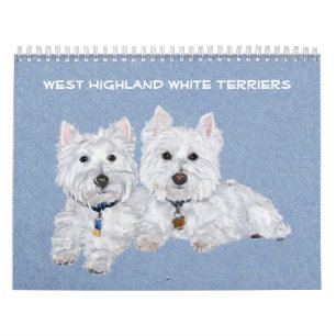 CALENDRIER de Terrier blanc de montagne