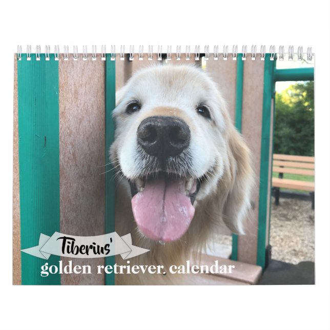 Calendrier de Tiberius 2021 pour les trieurs d'or (Protection)