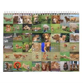 Calendrier de Toller