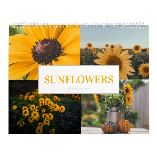Calendrier de tournesol Accueil Mur agricole (Protection)