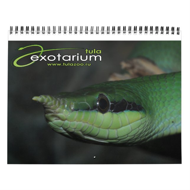 Calendrier de Tulazoo (Protection)