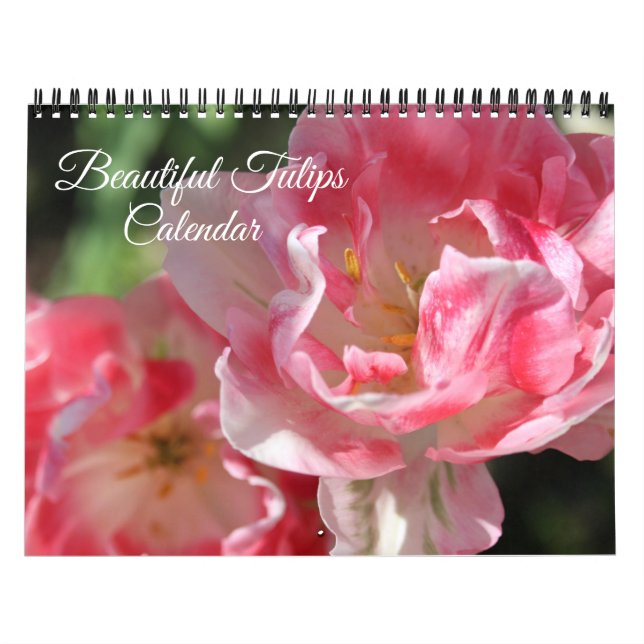 Calendrier de tulipes de taille moyenne (Protection)