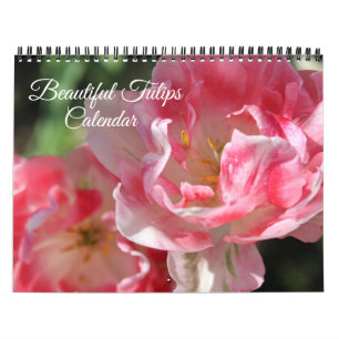 Calendrier de tulipes de taille moyenne