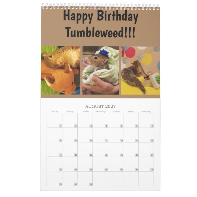 Calendrier de Tumbleweed 2020 (Aug 2027)