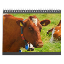 Calendrier de vache entièrement mignon