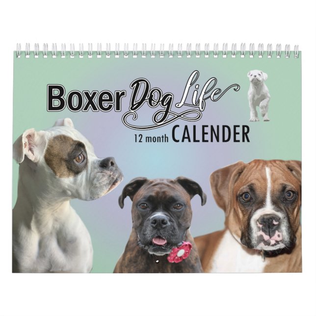 Calendrier de vie des chiens de boxe de 12 mois (Protection)