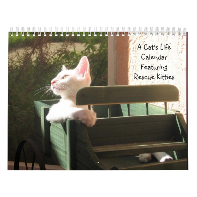 Calendrier de vie d'un chat (Protection)
