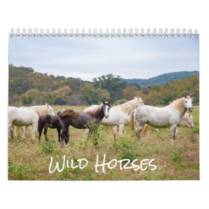 Calendrier de Wild Horse
