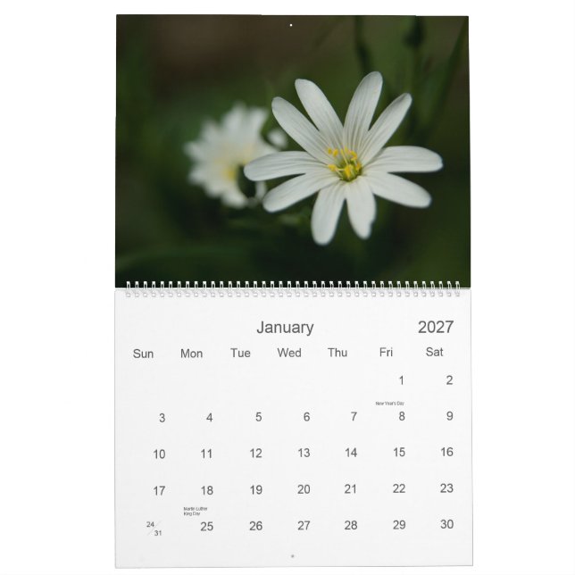 Calendrier de Wildfowers 2009 d'Européen (Jan 2027)