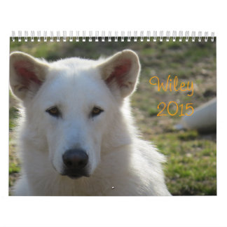 Calendrier de Wiley 2015