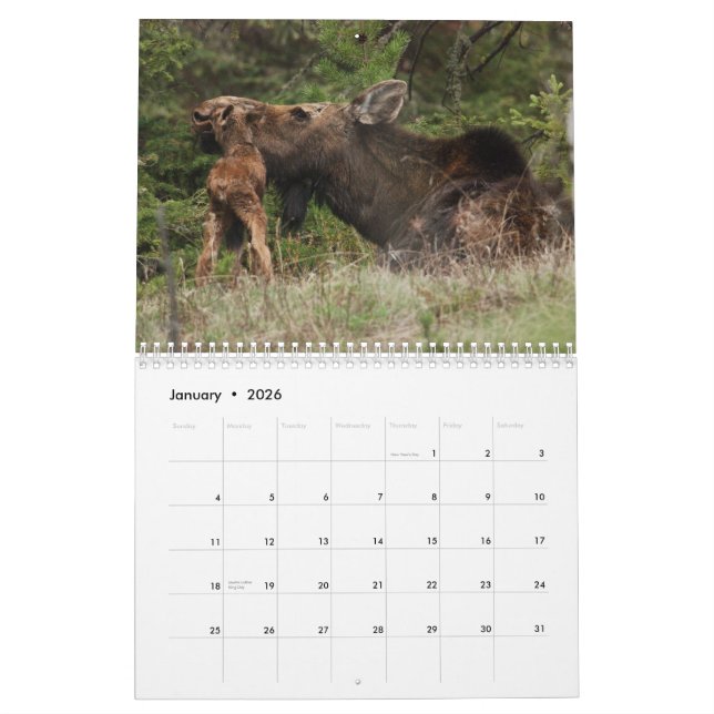 Calendrier de Yellowstone 2010 (Jan 2026)