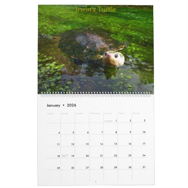 Calendrier d'eau douce australien de tortue de 8 (Jan 2026)