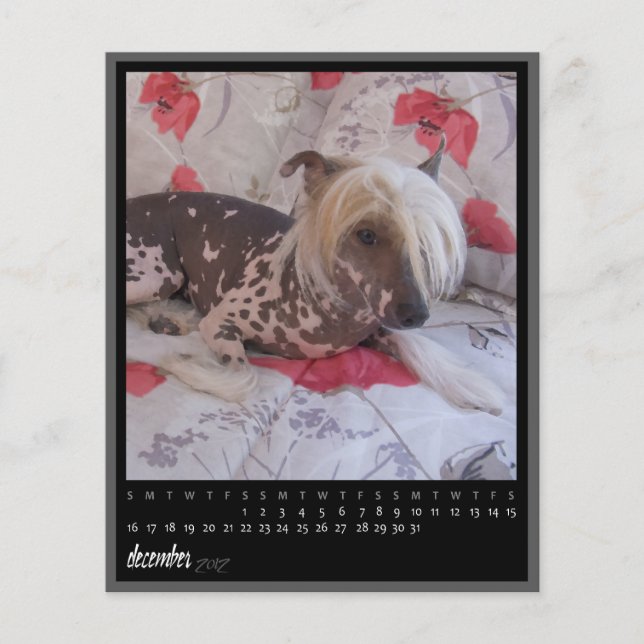 calendrier décembre 2012 (Devant)