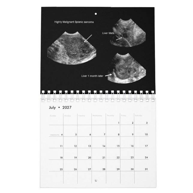 Calendrier d'échographie vétérinaire 2026 (Jul 2027)