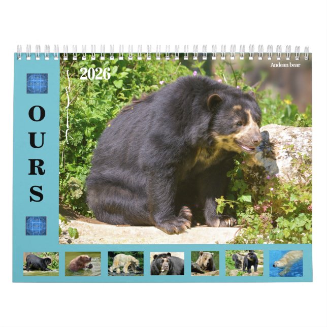 Calendrier des 12 mois divers ours (Protection)