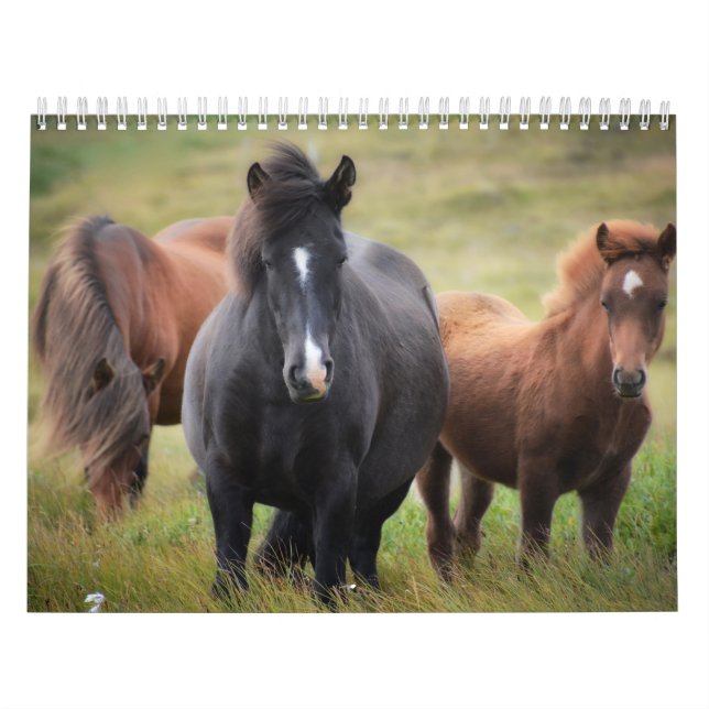 Calendrier des amateurs de chevaux (Protection)