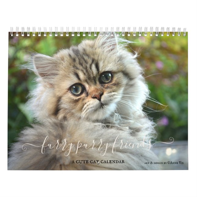 Calendrier des Amoureux de les chats Purry Furry m (Protection)