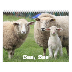 Calendrier des amoureux des moutons, Photos des mo