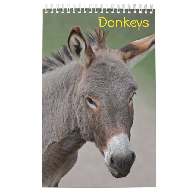 Calendrier des Ânes (Protection)
