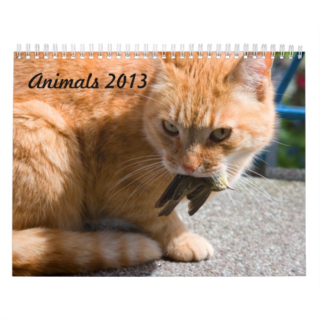 Calendrier des animaux 2013 (Protection)