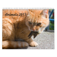 Calendrier des animaux 2013